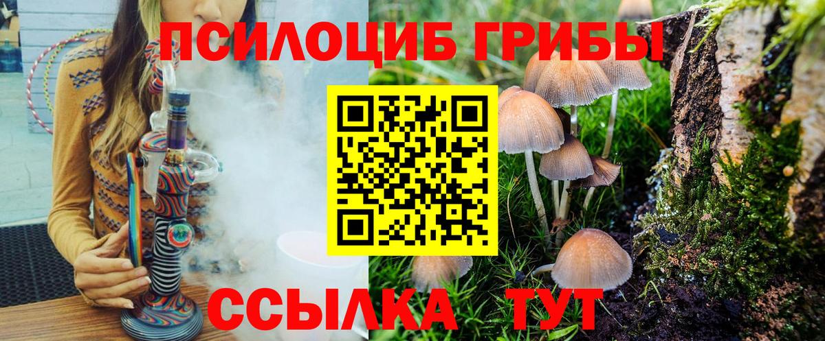 Галлюциногенные грибы GOLDEN TEACHER Братск