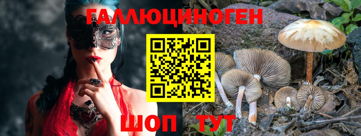 Галлюциногенные грибы мицелий  Вход с VPN  Псилоцибиновые грибы Psilocybine cubensis  Братск 